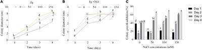 Trichoderma longibrachiatum (TG1) Enhances Wheat Seedlings Tolerance to Salt Stress and Resistance to Fusarium pseudograminearum